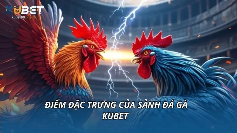Điểm đặc trưng của sảnh đá gà tại KUBET 